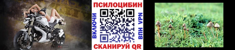 Галлюциногенные грибы GOLDEN TEACHER  Красный Холм 